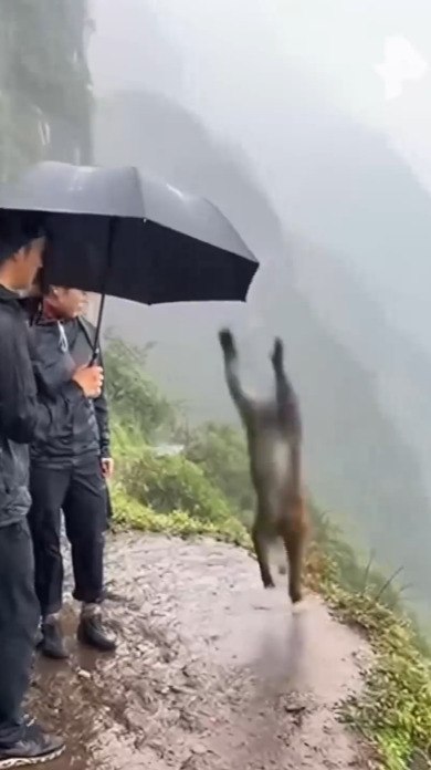 ��������, ������������ ���� �������, ������� � ������� ���� � ������� �� ��������� �������� � ����. ... - 2