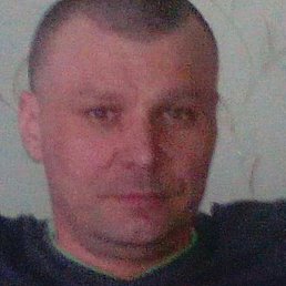 ������, �����, 46 ���