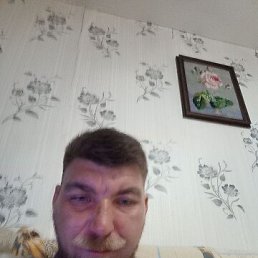 , 38, 