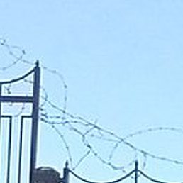 ���������, ����, 44 ����