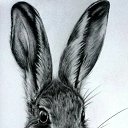 ���� Nataly, ����� - ��������� 15 ������� 2026 � ������ ������ ��������