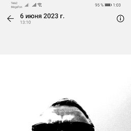 ������, �����-���������, 47 ���
