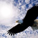 ���� ����, �����, 44 ���� - ��������� 31 ������� 2025 � ������ ���� ����������