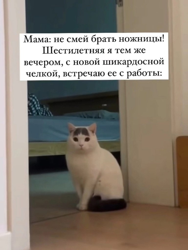 ������. - 28 ��� 2026 � 14:47 - 2