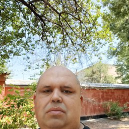 , 43, 