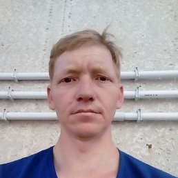 , 44, 