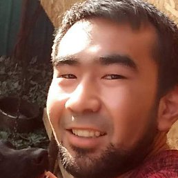 �����, ���������, 31 ���