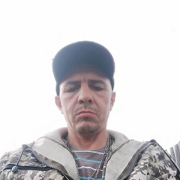 ������, 46 ���, ����������