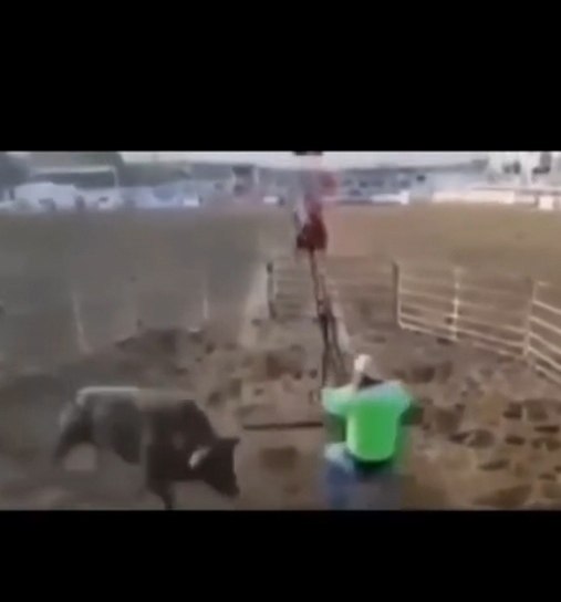 ������� ����� �� ������ ������ � ����� �������� ����. ������ ������ � ���� � ����� ��������� ... - 2