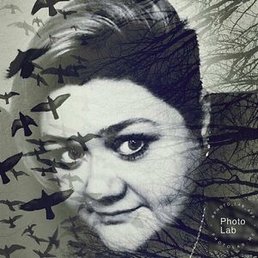 �������, ������, 45 ���