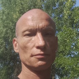 Gyz Hrsfai, �����������, 44 ����