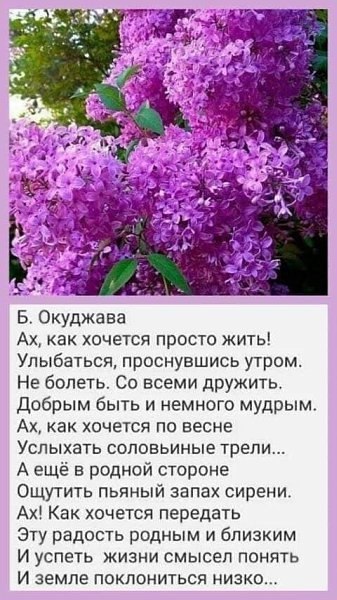 ��� ���� - 6 ����� 2026 � 11:36