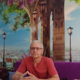 ����, 55 ���, ������