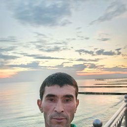 , 41, 