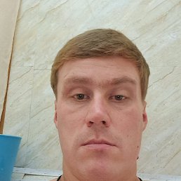 , 37, 
