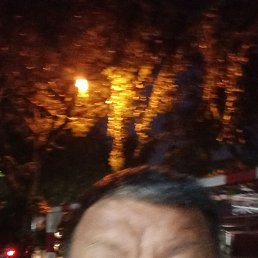 Bos Bos, 41, -