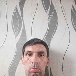 , 43 , 