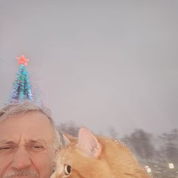 ������, 56 ���, �����