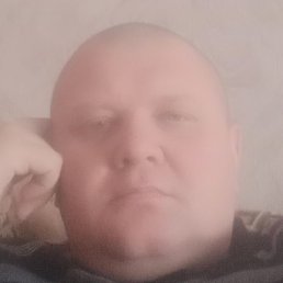 �������, �����������, 41 ���