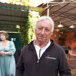 , 67, 