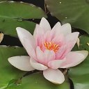 ���� �������, ʸ���, 64 ���� - ��������� 12 ���� 2025