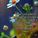 ���� �������, ���� - ��������� 28 ���� 2025 � ������ ������ ��������