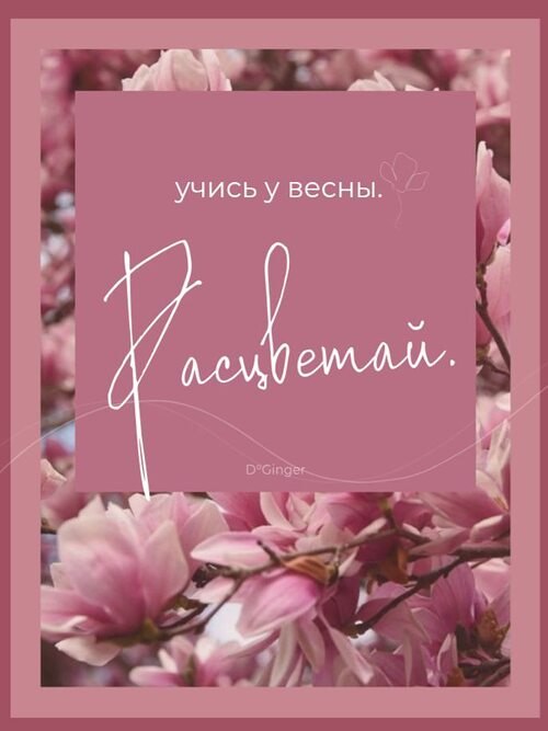 �� ����� ������! - 29 ��� 2026 � 20:30