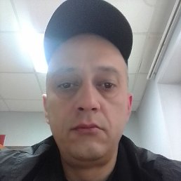 ����, 46 ���, ���������