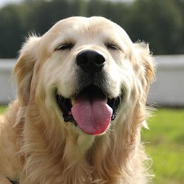 ������, ������, 27 ���