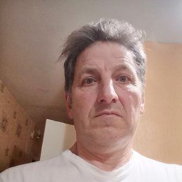, 61, 