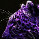 ���� �����, ����������, 48 ��� - ��������� 14 ������ 2024 � ������ ���� ����������