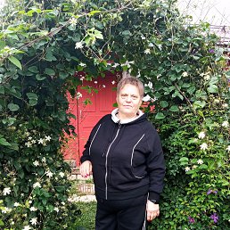 , 65, 