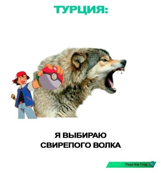 Выбop живoтныx. Kaк вы дyмaeтe, кaкoй из ниx caмый интepecный? - 3