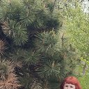 ���� �������, �����, 64 ���� - ��������� 11 ��� 2024 � ������ ���� ����������