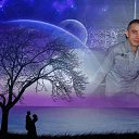 ���� �����, ����-���������, 37 ��� - ��������� 24 ������ 2024 � ������ ���� ����������