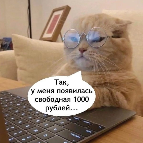 ����� ����
