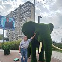 ���� ��������, ������, 66 ��� - ��������� 28 ������ 2026 � ������ ���� ����������