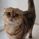 ���� ������, ������, 47 ��� - ��������� 23 ���� 2024