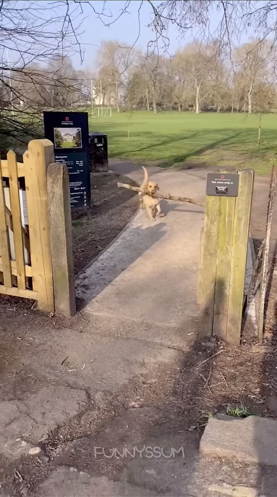 ����� ������� �����