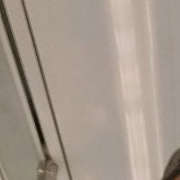 ����, �����-���������, 42 ����