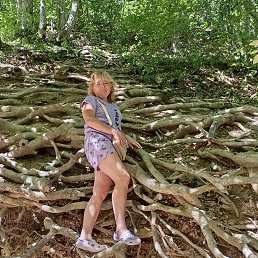 ���� �������, �����-���������, 52 ���� - ��������� 20 ��� 2025