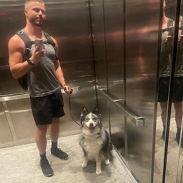 ����, ������, 36 ���