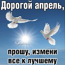 ���� ��������, ������������ - ��������� 28 ������ 2026 � ������ ������ ��������