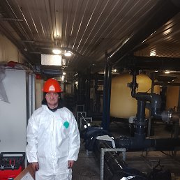 �������, 41 ���, ������