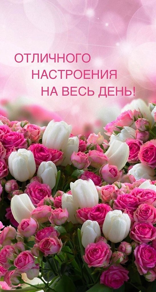 ������������� ���� - 9 ����� 2026 � 11:04