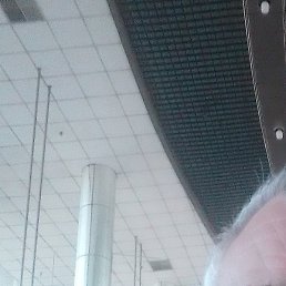 �������, ������, 66 ���