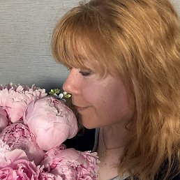 �����, �����������