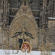 �����, 53 ����, ������