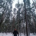 ���� ���, �����-���������, 39 ��� - ��������� 15 ������ 2026 � ������ ���� ����������