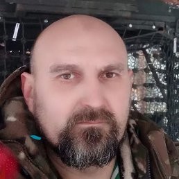 ���������, ���������, 46 ���